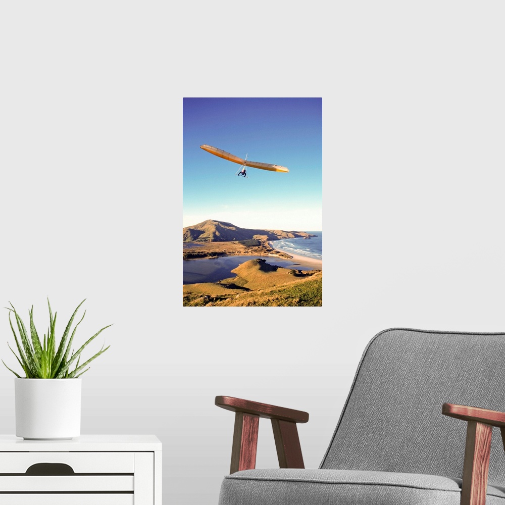 A modern room featuring Hang Gliding, Otago Peninsula, Dunedin