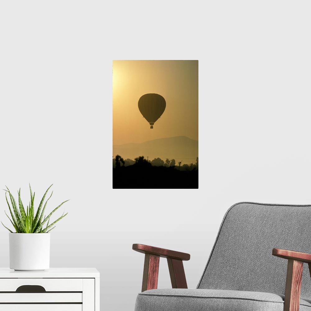 A modern room featuring Hot air balloon lifting over Napa valley at sunrise.