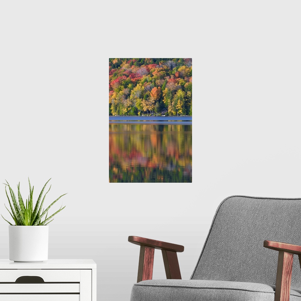 A modern room featuring USA, Maine, Acadia National Park. Fall foliage and lake, Acadia National Park, Maine