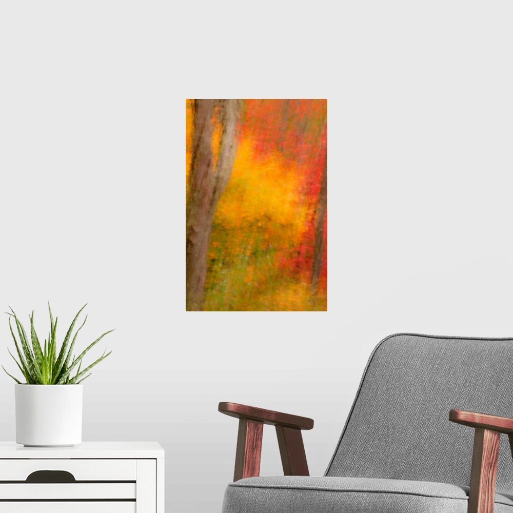 A modern room featuring USA, New York, Inlet. Abstract of autumn forest scene.