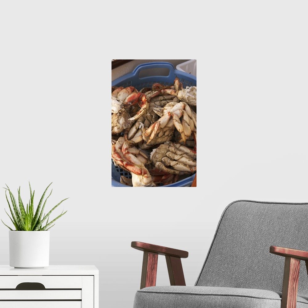 A modern room featuring North America, Canada, Queen Charlotte Islands, Dungeness cooked crab.