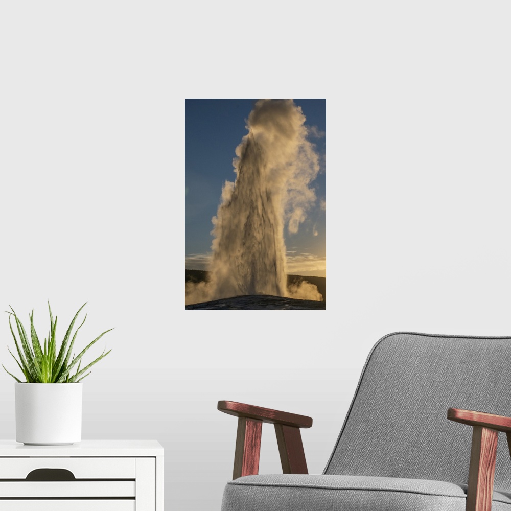 A modern room featuring Old Faithful Geyser Eruption, Yellowstone National Park, Wyoming, Usa.