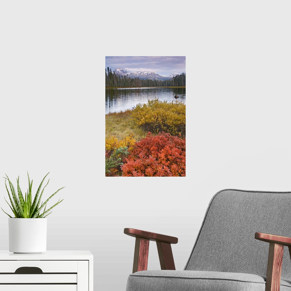 A modern room featuring USA, Oregon, Willamette National Forest. Scott Lake and Three Sisters Mountain.