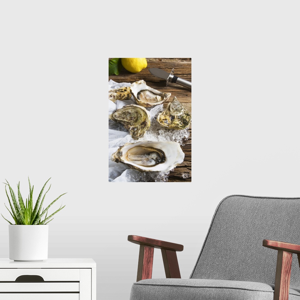 A modern room featuring Oysters on ice (Ostrea edulis).