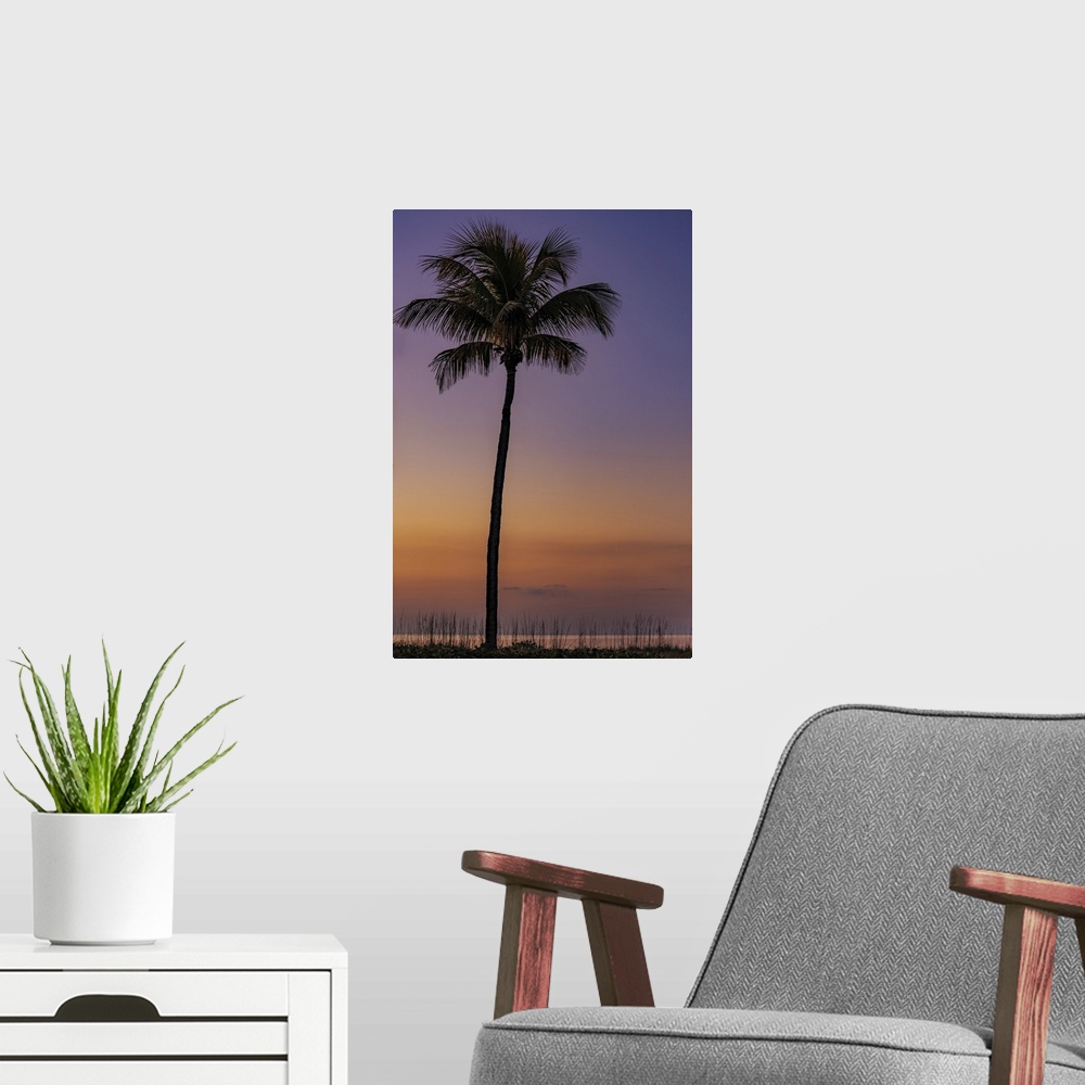 A modern room featuring Palm tree silhouetted against the sunrise on Sanibel Island, Florida, USA.