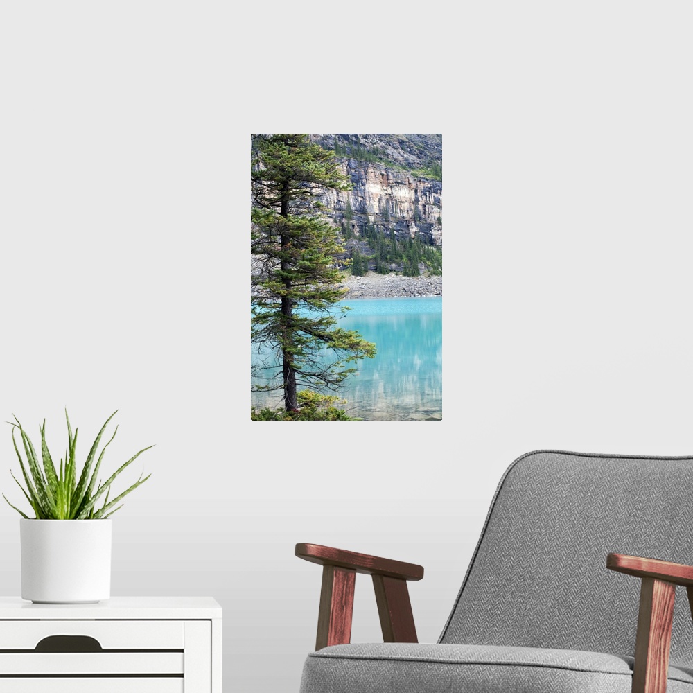 A modern room featuring Pine tree overlooking Moraine Lake, Banff National Park, Canada