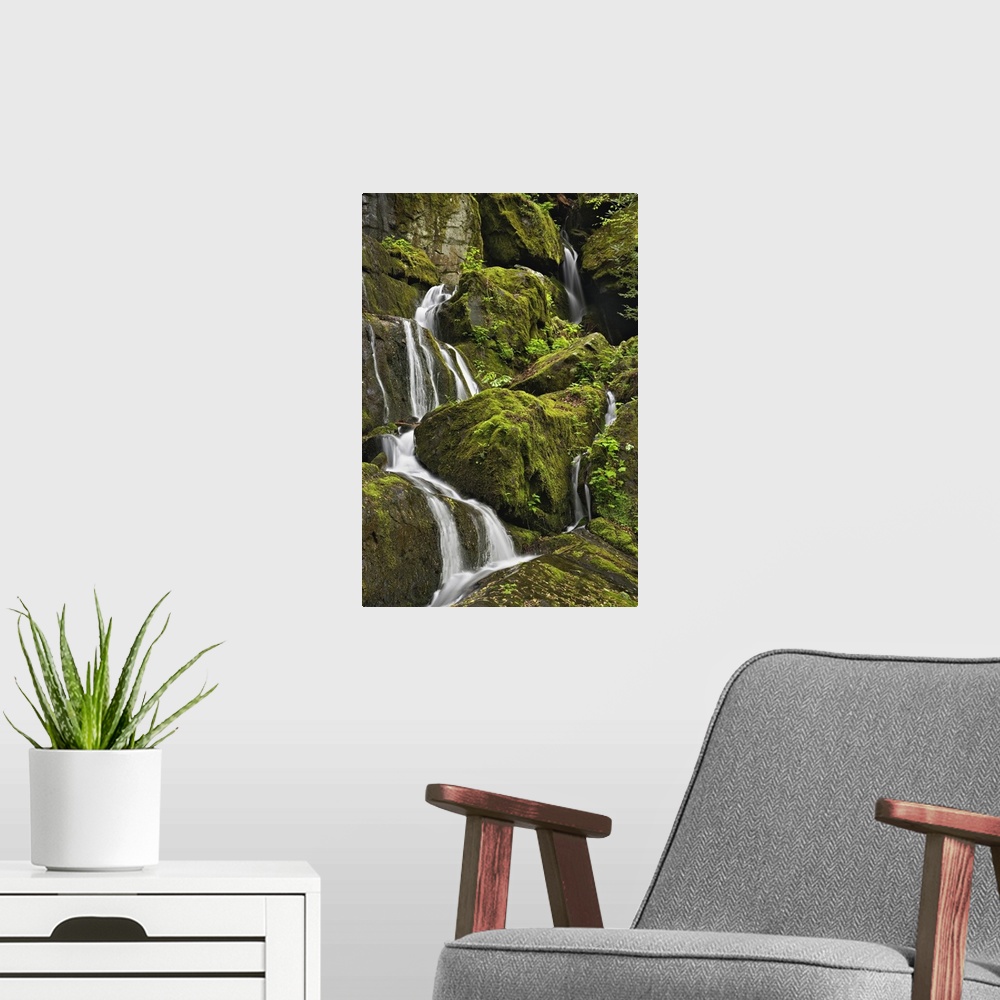 A modern room featuring Seasonal cascade, Place of a Thousand Drips, Great Smoky Mountains National Park, Tennessee.