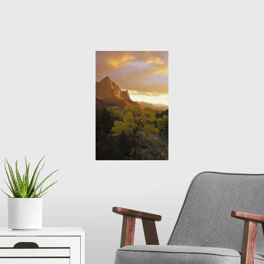 A modern room featuring USA, Utah, Zion National Park. The Watchman in the distance with Virgin River in foreground refle...