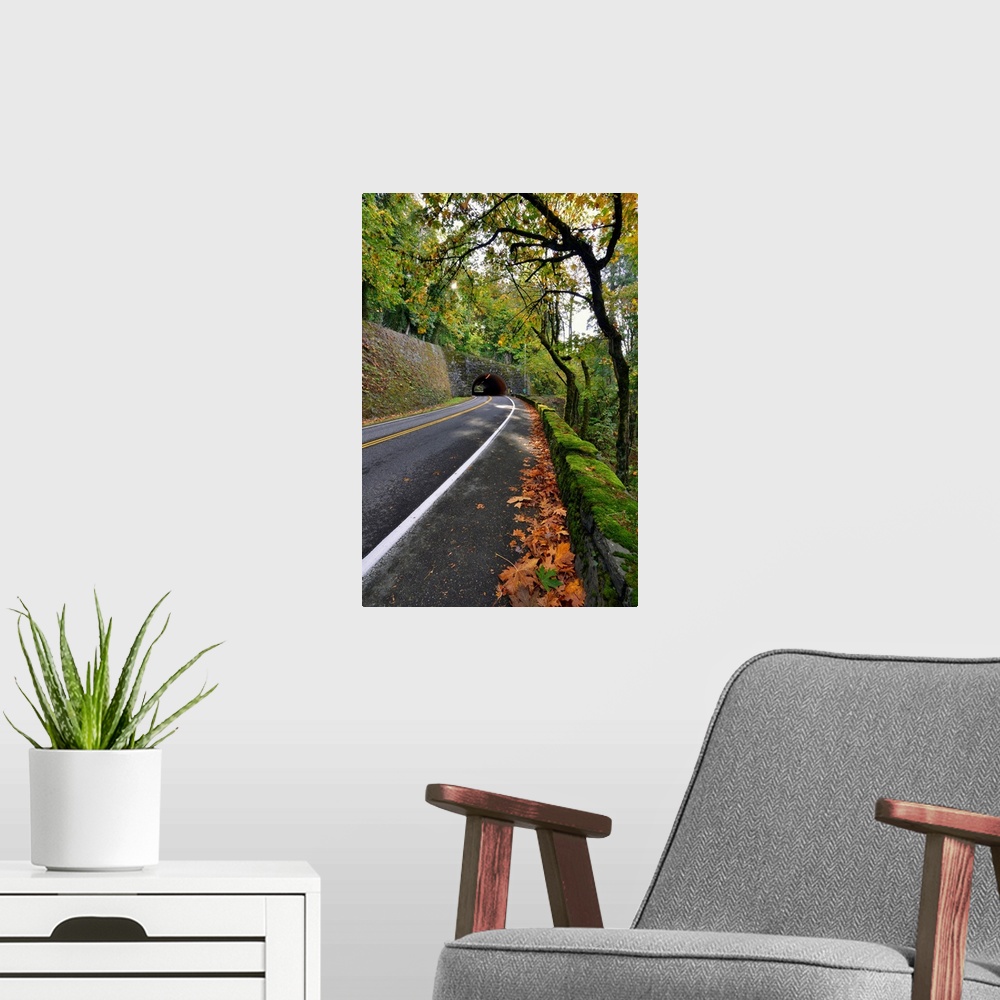 A modern room featuring USA, Oregon, Portland. Macleay Park and road in autumn.