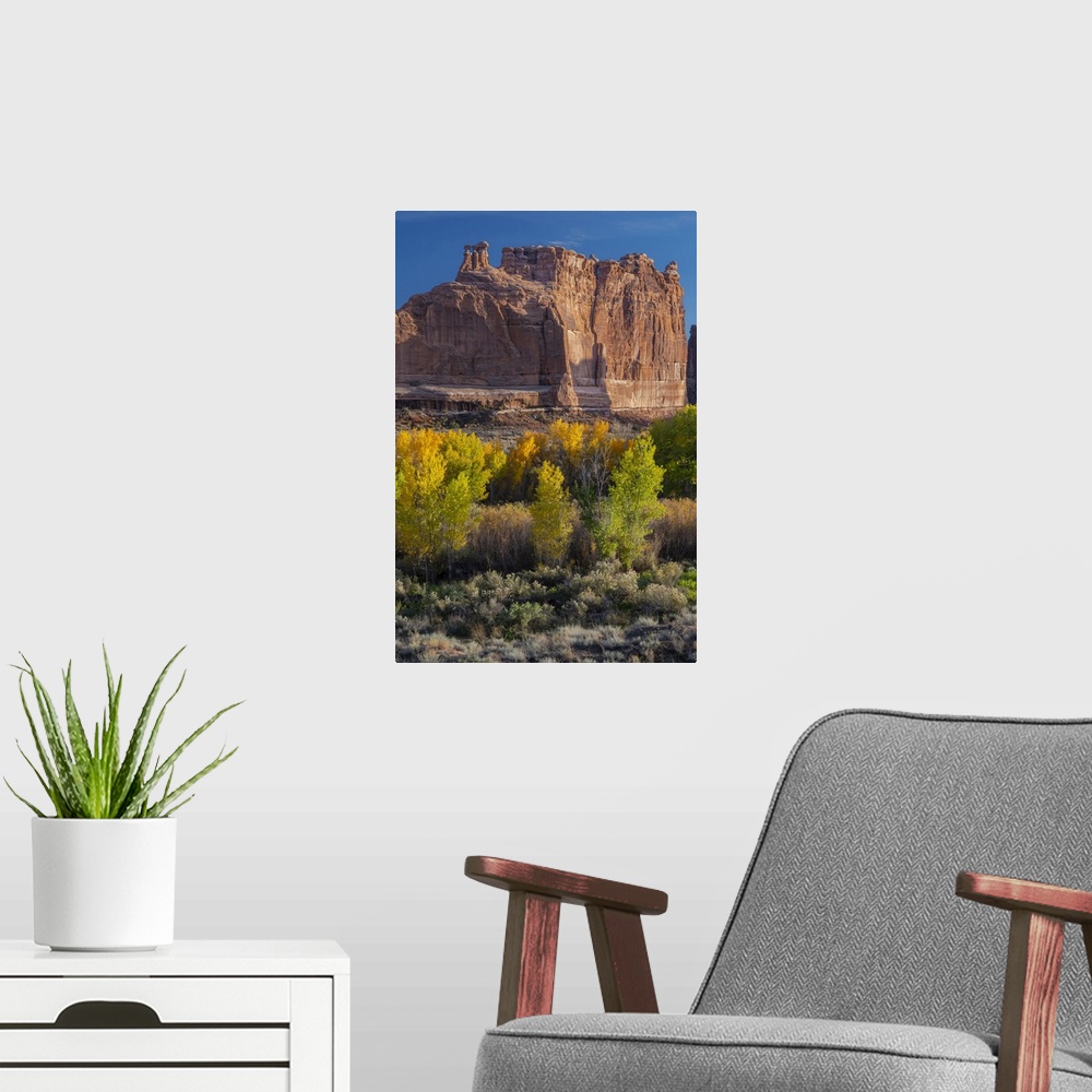 A modern room featuring USA, Utah. Autumn cottonwoods at sunset, Arches National Park.