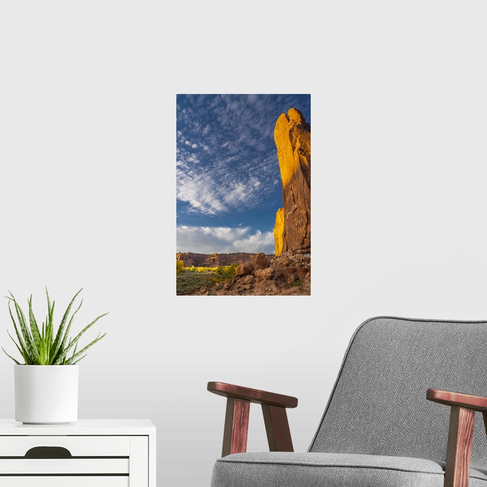 A modern room featuring USA, Utah. Cliffs, clouds, and autumn cottonwoods at sunset, Arches National Park.