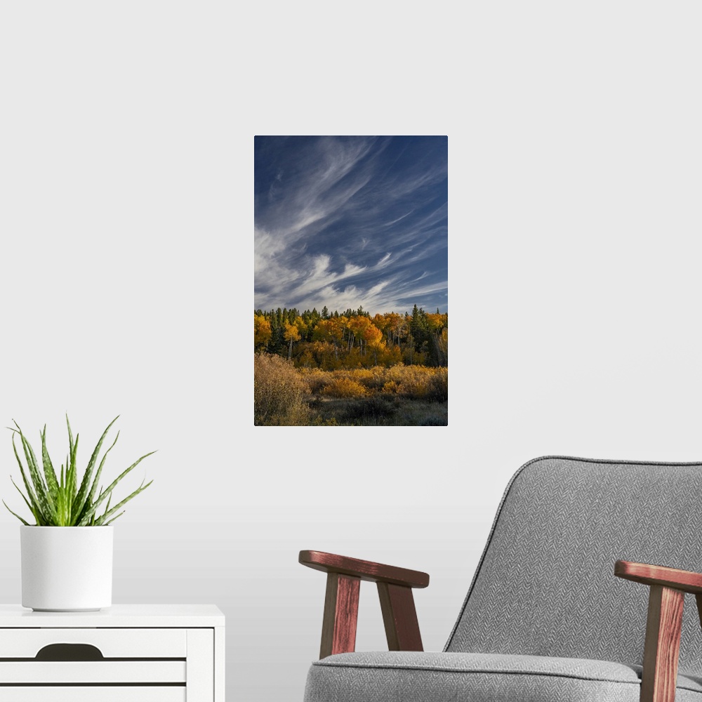 A modern room featuring USA, Wyoming. Autumn afternoon clouds, Grand Teton National Park.