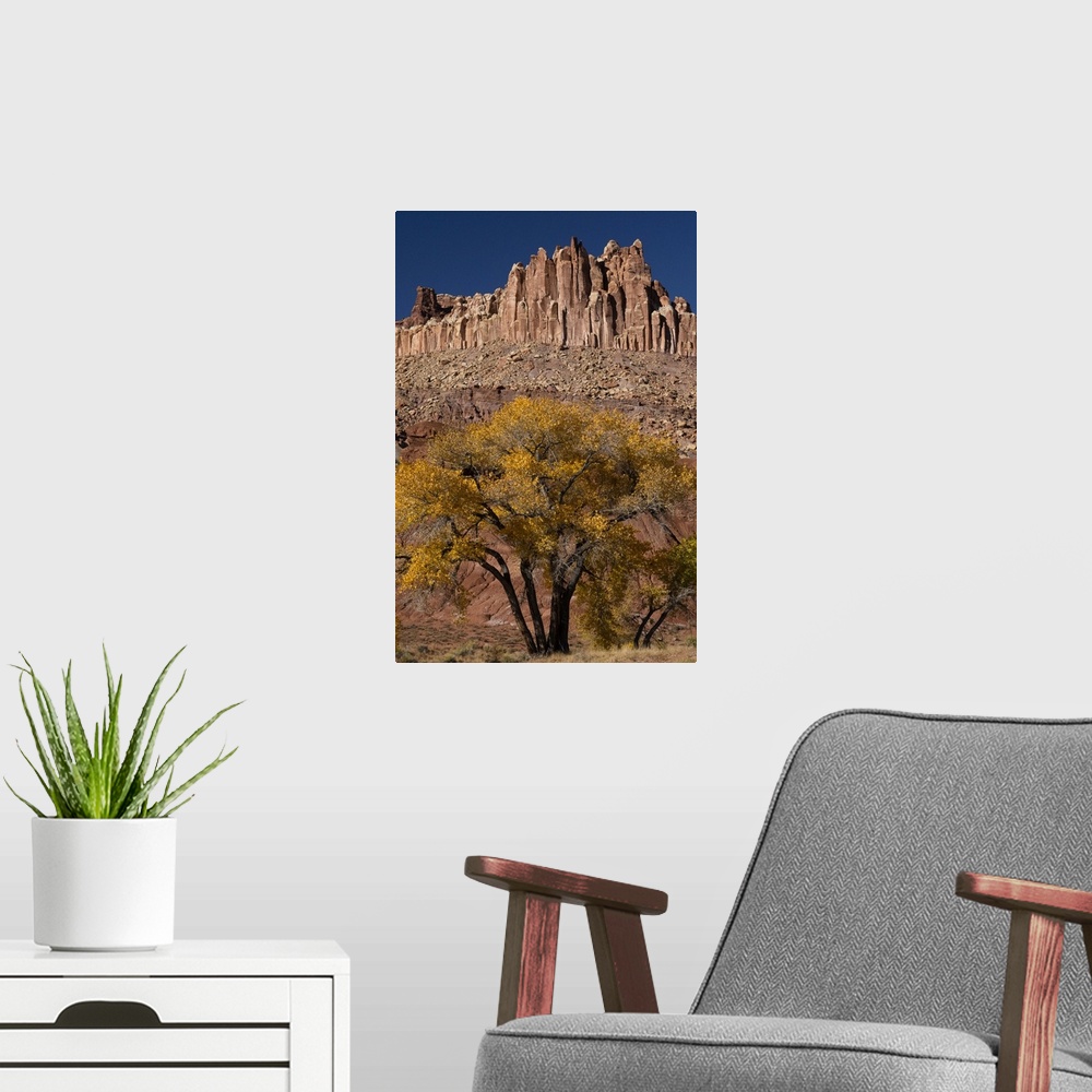 A modern room featuring USA, Utah. The Castle, geological features and autumn foliage, Capitol Reef National Park.