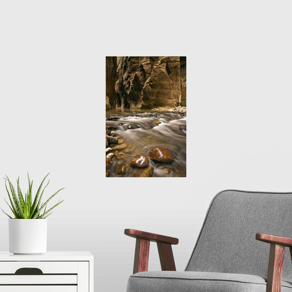 A modern room featuring Utah, Zion National Park, a scene along the Virgin River Narrows.