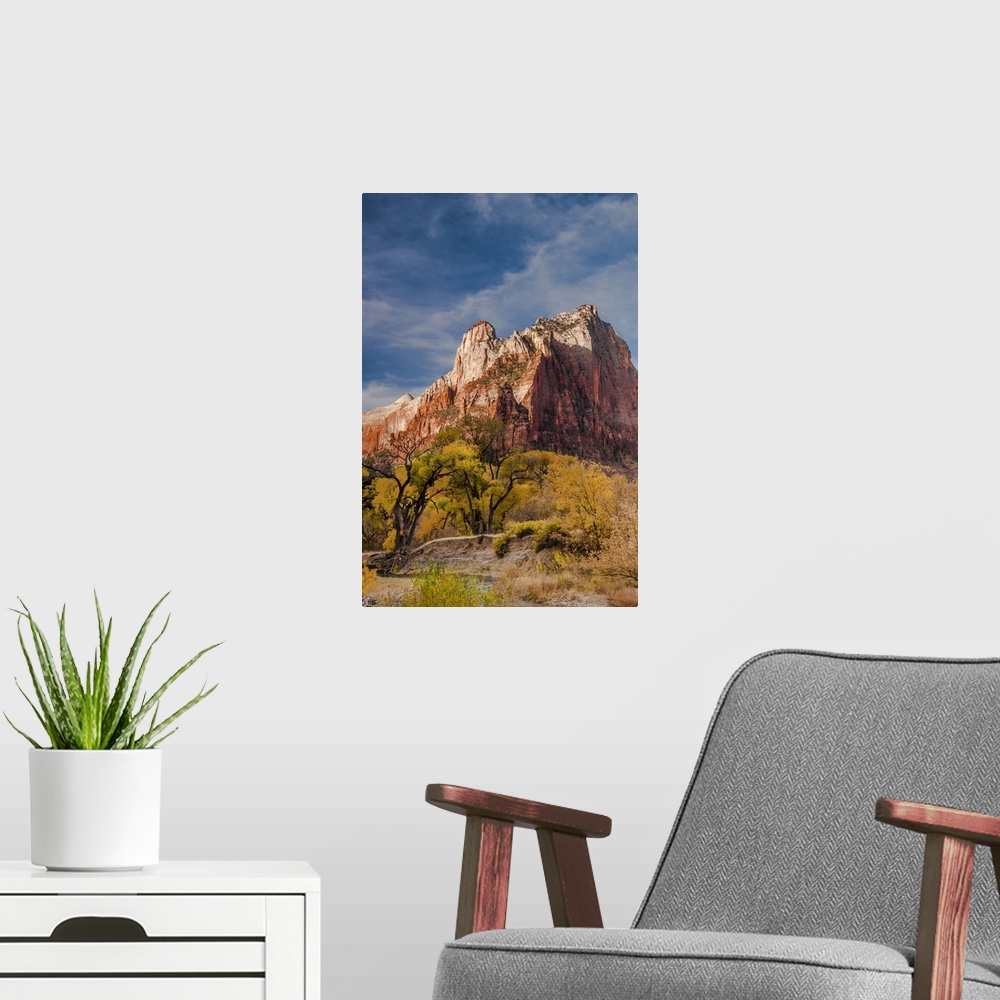 A modern room featuring North America, USA, Utah, Zion National Park.  Autumn foliage in front of the Sentinel in  Zion N...