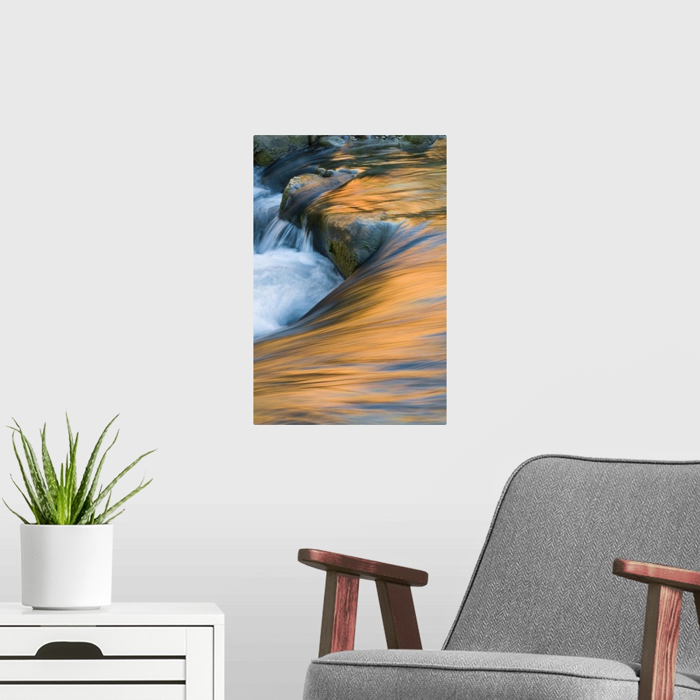 A modern room featuring USA, Utah, Zion National Park. Canyon and sky reflections on Virgin River turbulence.