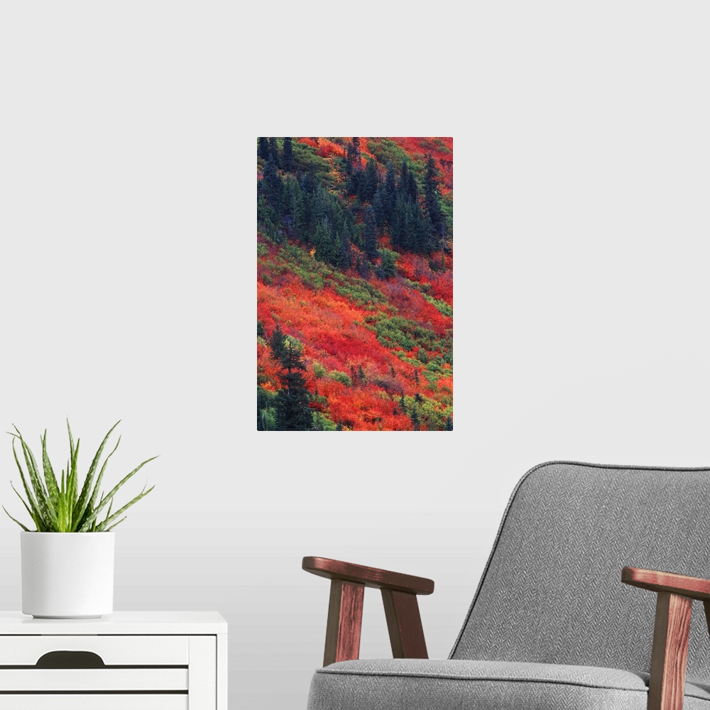 A modern room featuring Washington, Wenatchee National Forest, Steven's Pass, Autumn Color.