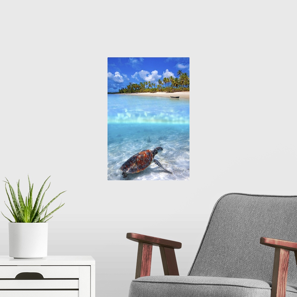 A modern room featuring Green sea turtle and tropical beach above and below water.