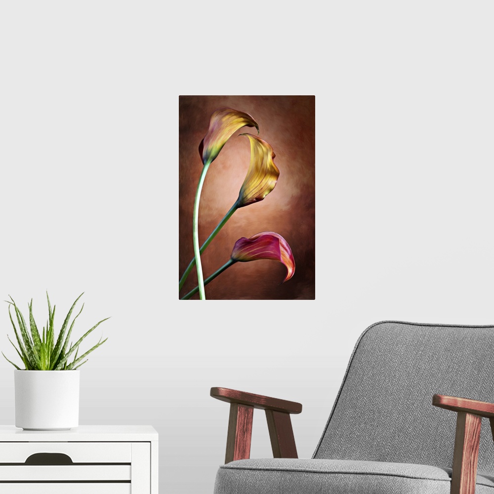 A modern room featuring Zantedeschia aethiopica, painted Calla lily flower in front of red bachground.