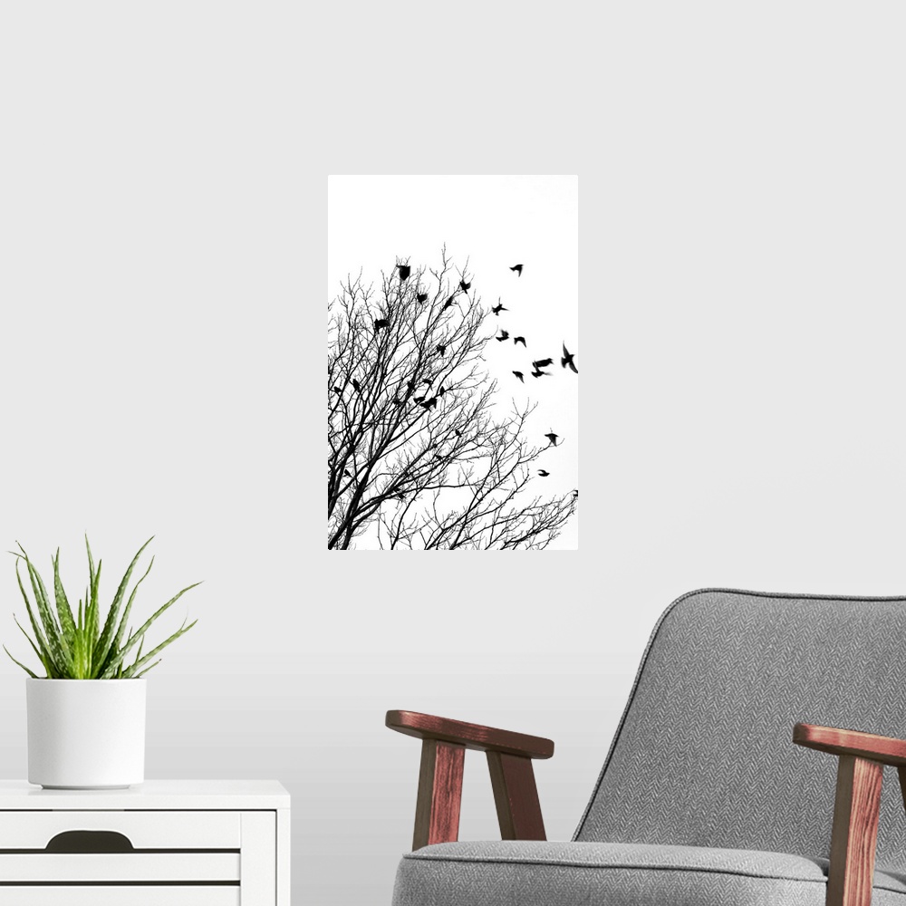 A modern room featuring Black and white image of birds flying off a tree.