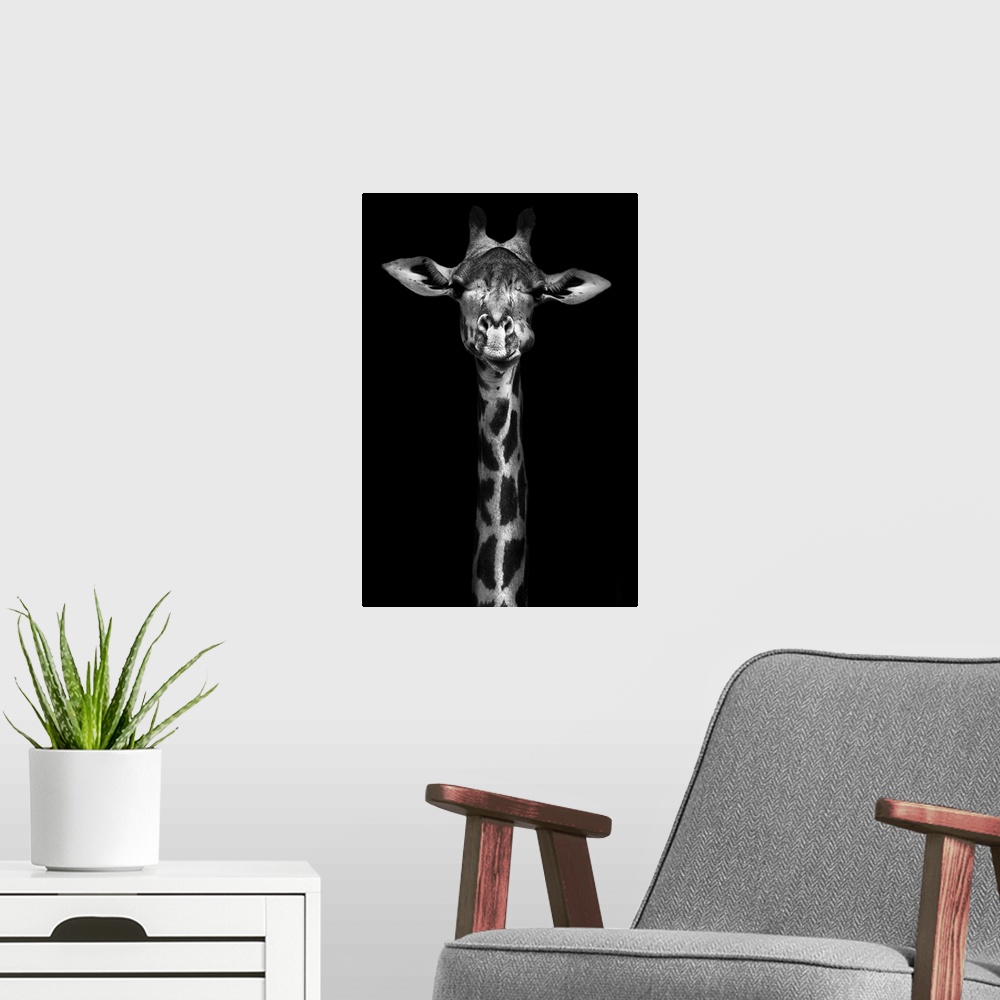 A modern room featuring Creative black and white image of a Thorneycroft giraffe.