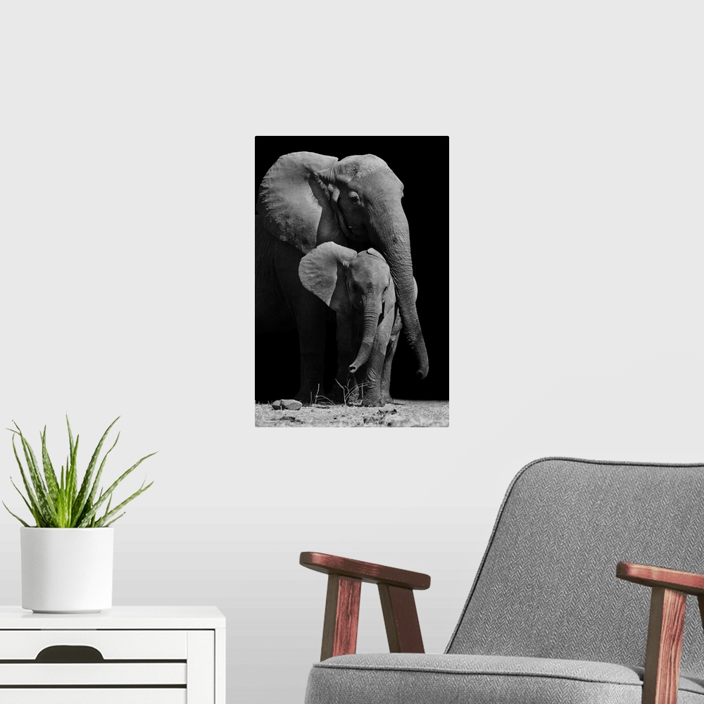 A modern room featuring Black and white image of a mother elephant protecting her baby.