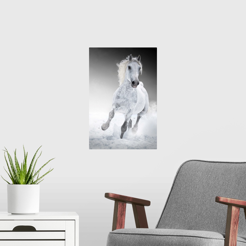 A modern room featuring White Horse Runs Gallop In Winter