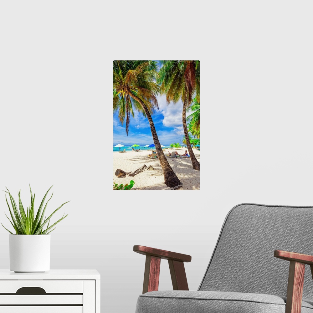 A modern room featuring Barbados, Tropics, Antilles, Lesser Antilles, Windward Islands, Caribbean, West Indies, Worthing ...