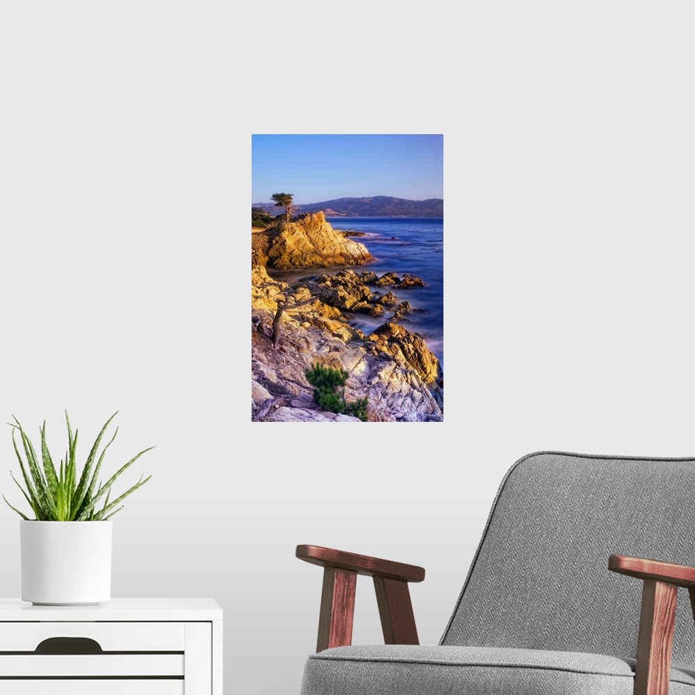 A modern room featuring CA, Monterey Peninsula, The silhouette of the famous Lone Cypress Tree