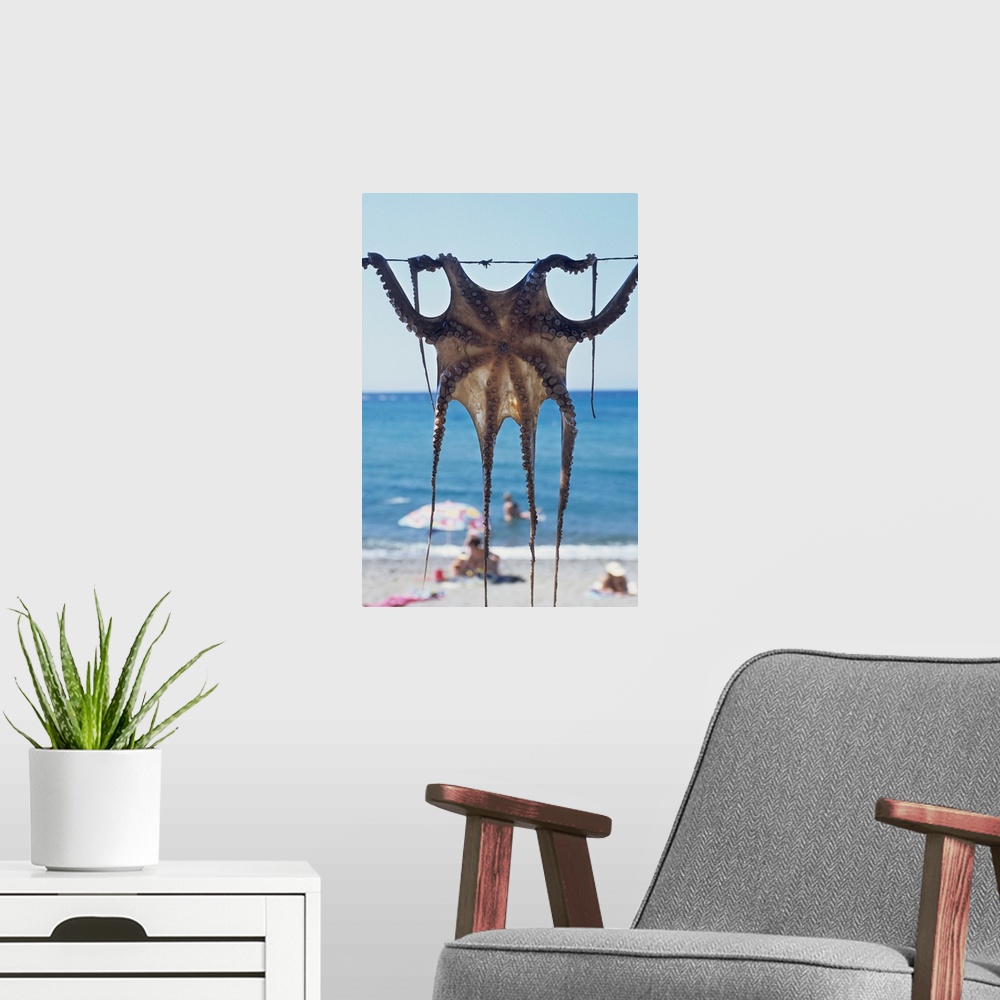 A modern room featuring Greece, Aegean Islands, Lesbos, Skala Eressos beach, octopus drying at the sun