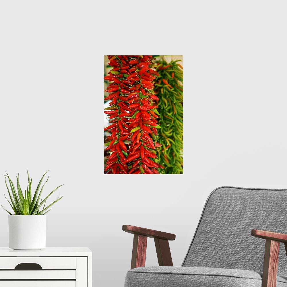 A modern room featuring Italy, Calabria, Catanzaro, Hot peppers