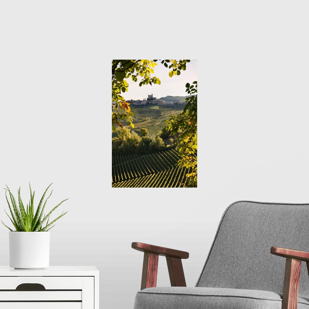 A modern room featuring Italy, Piedmont, Cuneo district, Langhe, Serralunga d'Alba, Landscape of vineyards hills and the ...