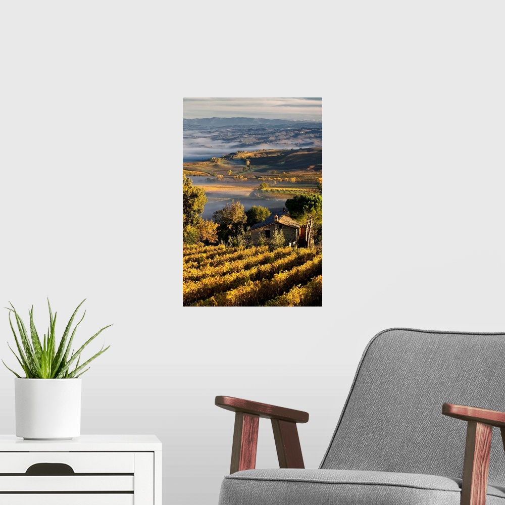 A modern room featuring Italy, Tuscany, Mediterranean area, Brunello wine road, Siena district, Orcia Valley, Sangiovese ...