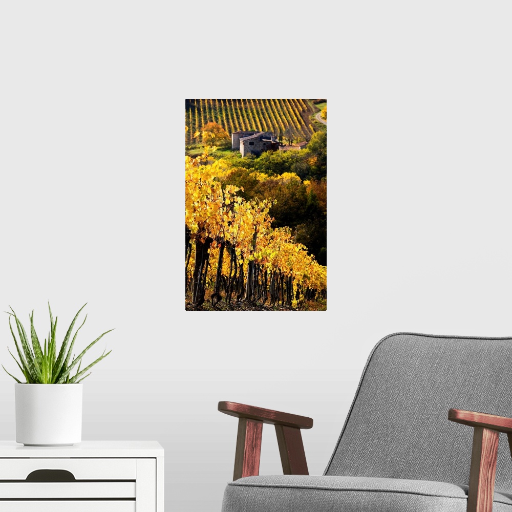 A modern room featuring Italy, Tuscany, Chianti, Greve in Chianti, vineyards