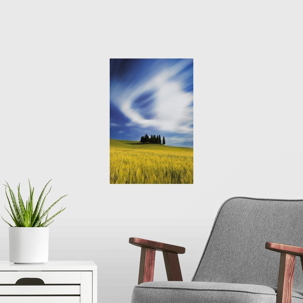 A modern room featuring Italy, Tuscany, San Quirico d'Orcia, Typical landscape near San Quirico d'Orcia