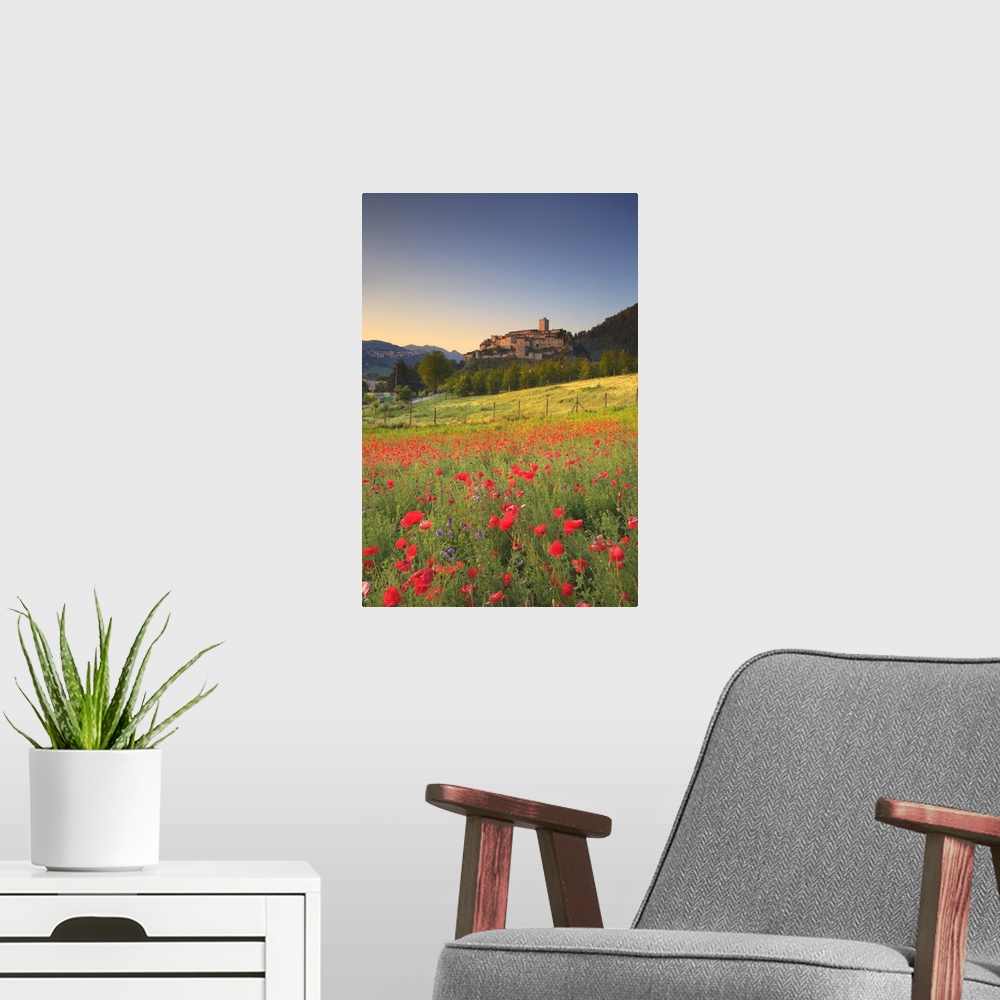 A modern room featuring Italy, Umbria, Terni district, Valnerina, Poppies on a field near Arrone village
