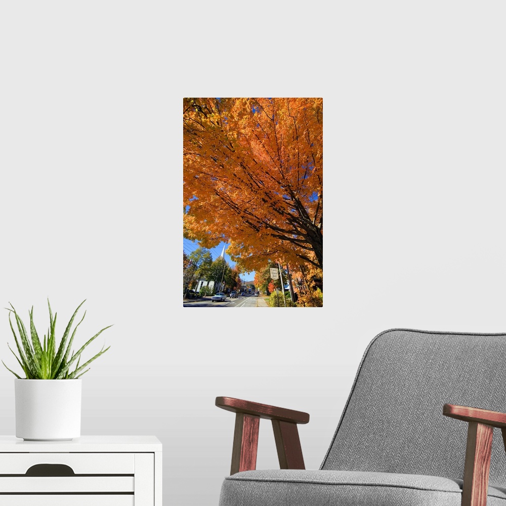 A modern room featuring New Hampshire, North Conway, White Mountains, The main road in autumn