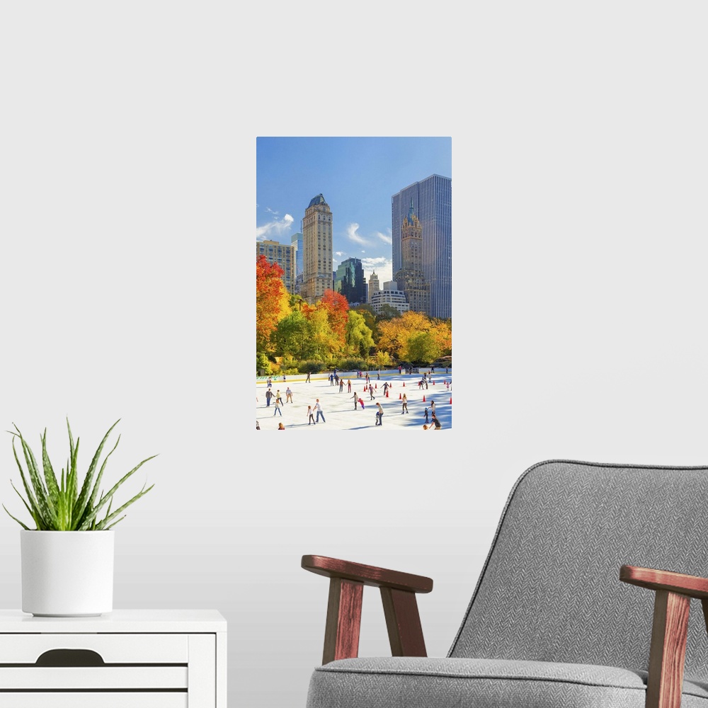 A modern room featuring USA, New York City, Manhattan, Central Park, Wollman Rink.