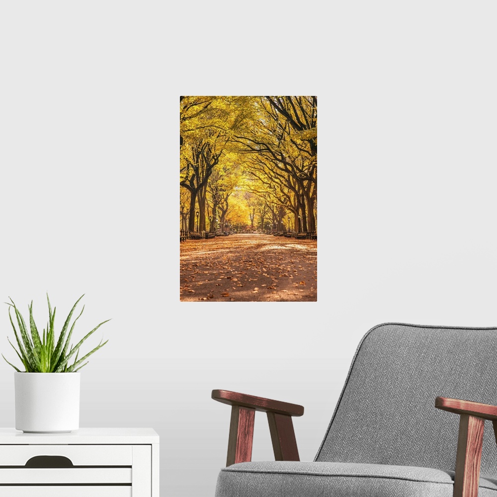 A modern room featuring New York, New York City, Central Park, Elm Tree lined walk