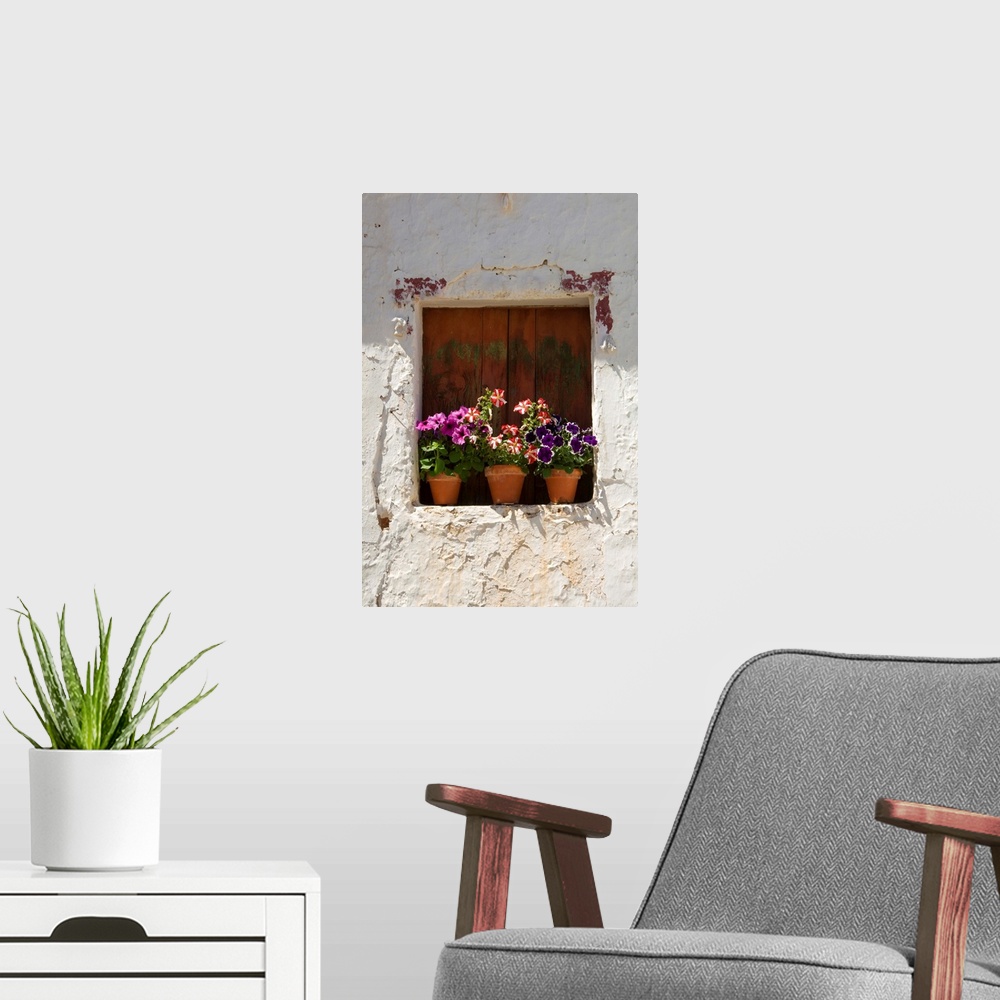 A modern room featuring Portugal, Faro, Algarve, Flower pots, Odeleite in The Sotavento