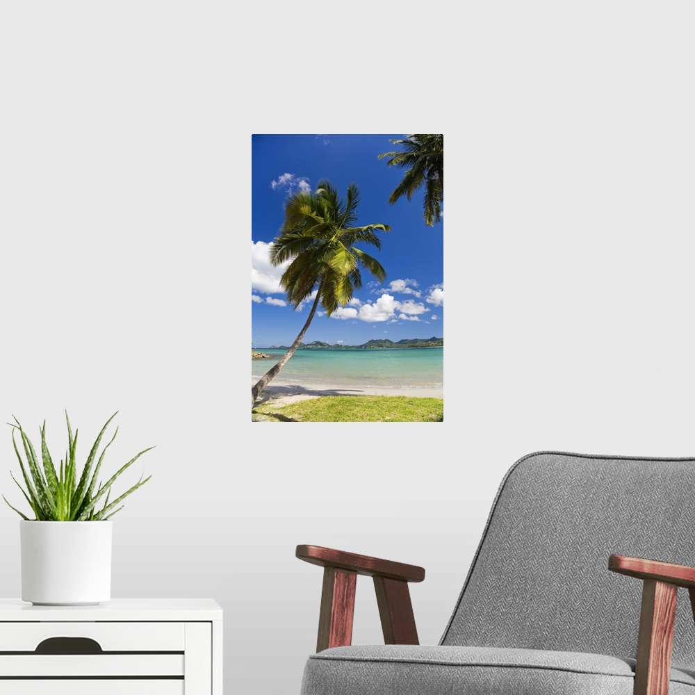 A modern room featuring Saint Lucia, Castries, Caribbean, Caribbean sea, Palm trees in Vigie Beach