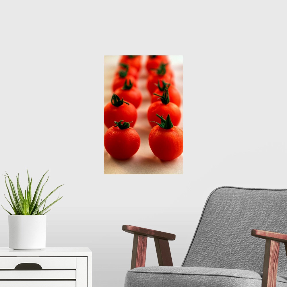A modern room featuring Tomatoes