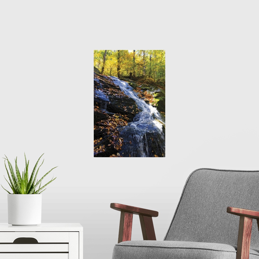 A modern room featuring Autumn Waterfall 1