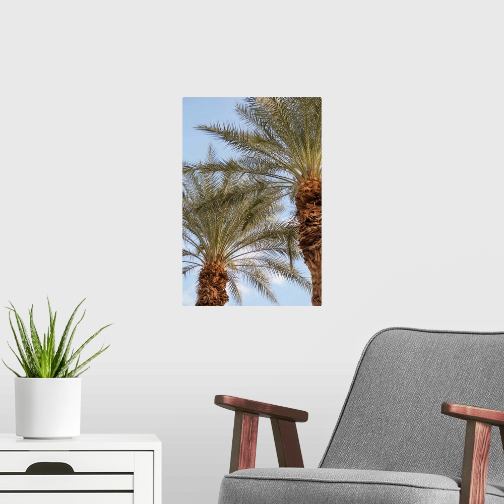 A modern room featuring Photograph looking up at the tops of two palm trees with a light blue sky in the background.