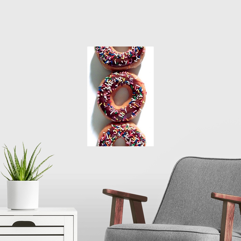 A modern room featuring Doughnut Line V