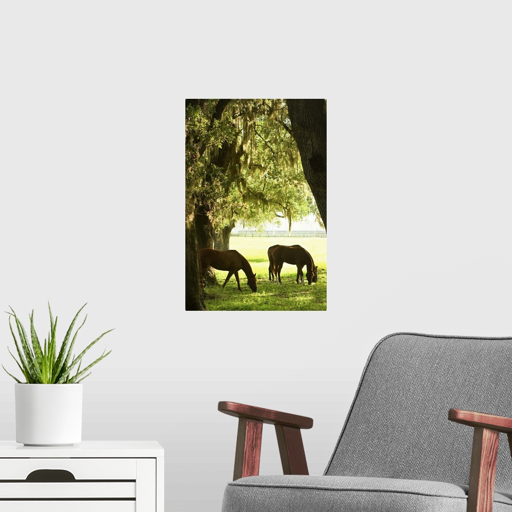A modern room featuring Horses in the Sunrise 6