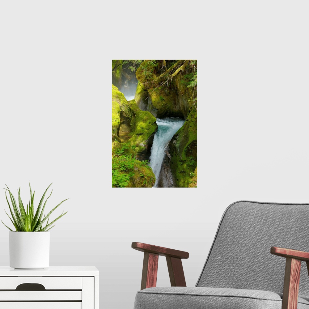 A modern room featuring Flowing waterfall surrounded by mossy rocks in Washington state.
