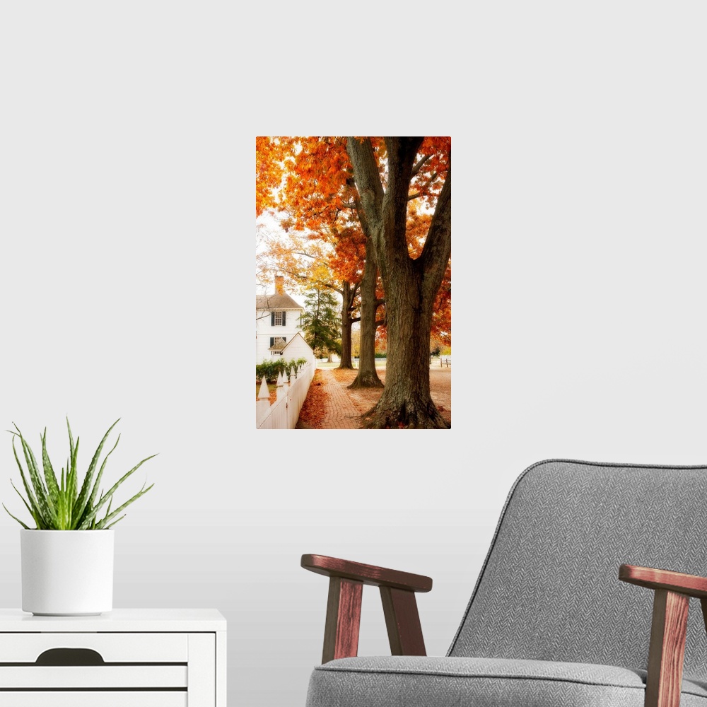 A modern room featuring Small Town Autumn -2
