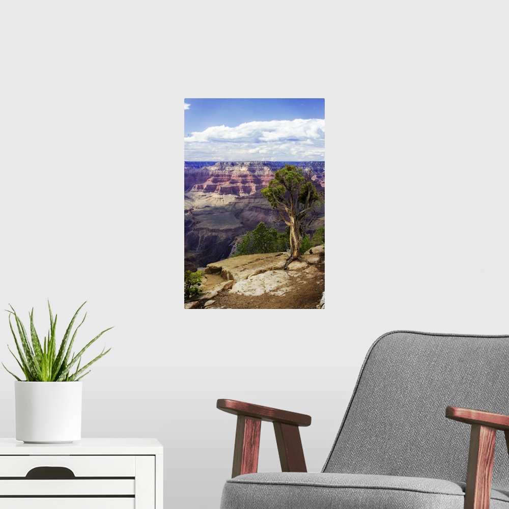 A modern room featuring The Canyon Rim I