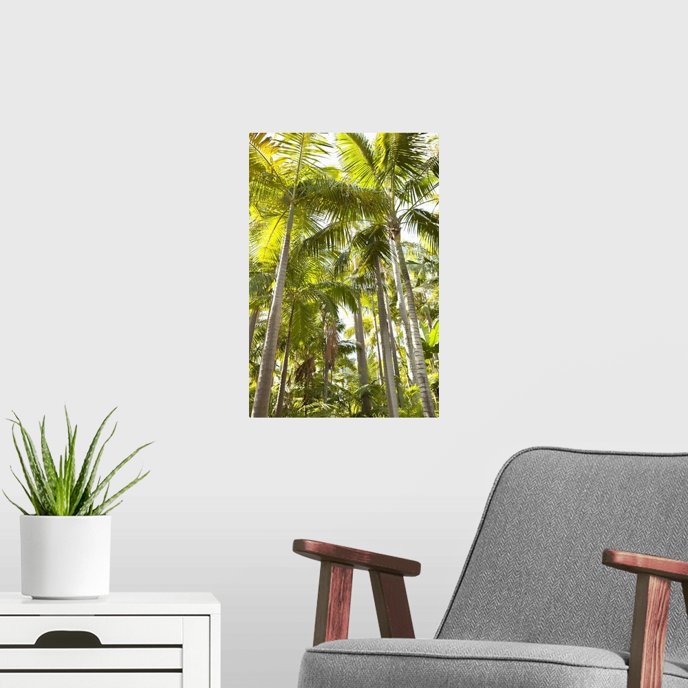 A modern room featuring Tropical Oasis I